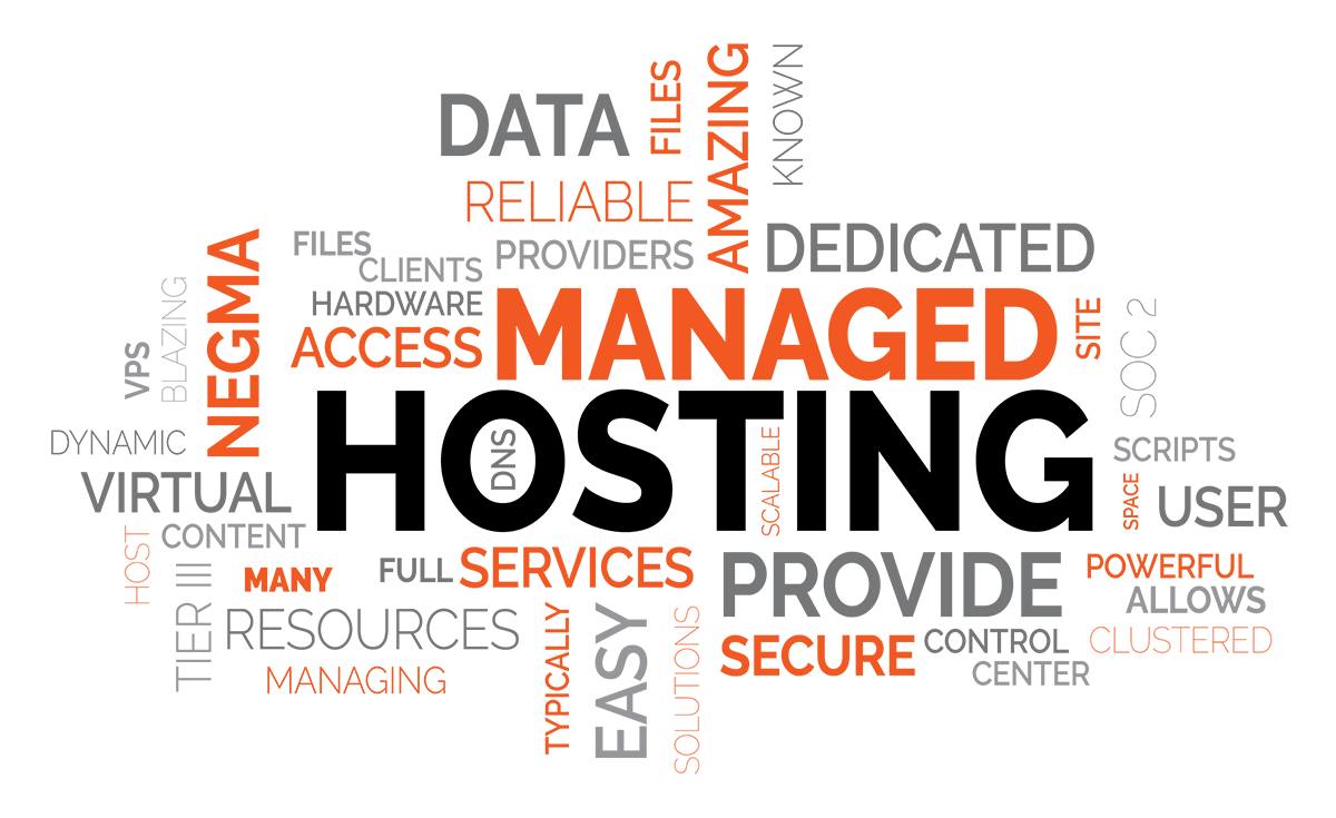 Hosting & Serviços