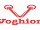 Voghion Global