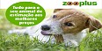 Zooplus.PT